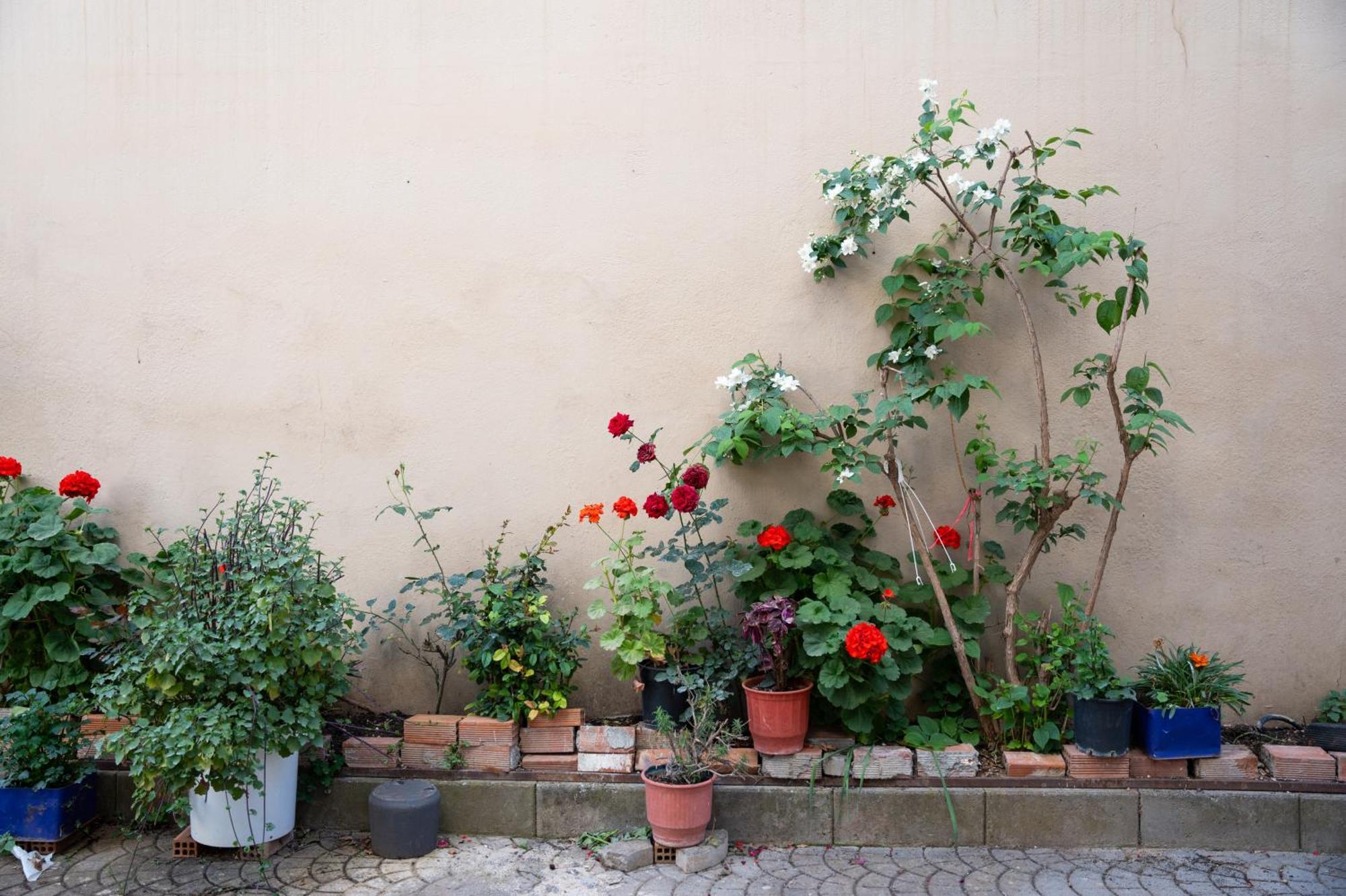 Nyx Guesthouse Tripoli Extérieur photo